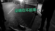 男子网恋奔现受挫凌晨买醉轻生 获救后向民警“撒娇打滚”要糖吃