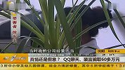 真情还是假意 QQ聊天装富骗取60多万元-6月13日