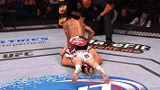 UFC-15年-UFC Fight Night 60倒计时：UFC超级终结者荷洛威-专题