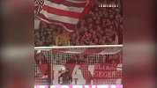 45秒回顾拜仁2月全进球 莱万解锁里程碑哈马霸气头槌