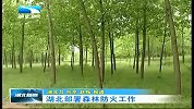 湖北新闻-20120416-湖北部署森林防火工作