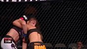 UFC-15年-UFC185自由格斗：耶德尔泽西克vs利马-专题