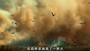 老鹰为了吃饱肚子，居然放火烧山，刺猬为躲避山火挖坑给自己埋了