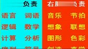 数学学习的基本理论及一般方法（幼儿教育）