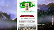 十三五版《鹰城style》