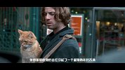 五分钟看完《流浪猫鲍勃》猫主子拯救流浪汉一生的故事