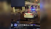 两只梅花鹿闯入马路，交警成赶鹿人一路小跑“累够呛”，交警回应