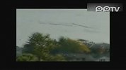 实拍疑似水怪长约12米