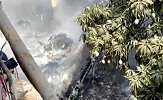 巴基斯坦坠机事件造成至少86人遇难 另有两人幸存