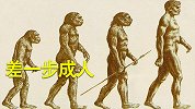 “最可惜”的古猿，和人类的“老祖母”是亲戚，差一步成人类！