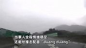 车辆雨天打滑撞上护栏连转6圈，男子全程冷静应对，网友不淡定了
