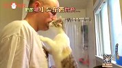 为啥男人养猫比养老婆还上心？