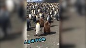 爆笑企鹅他爹头上绿了，企鹅儿子跟他一点都不像