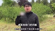 青年导演举报B站短片涉嫌洗稿，与其提案相似但未获报酬，B站：未剽窃