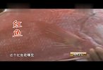 一方水土一方味——随心所欲 海鲜边炉