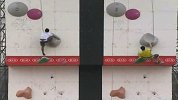 极限-13年-起亚世界极限运动大赛-竞速攀岩8强赛李北京不敌印尼选手-花絮