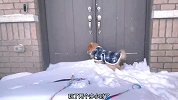 狗为什么这么喜欢玩雪？给爱玩雪的狗子造个雪窝