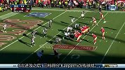 NFL-1314赛季-常规赛-第十四周-海鹰VS49人集锦-集锦
