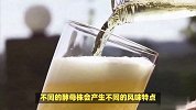 如何判断好啤酒？看懂啤酒配料的秘密！