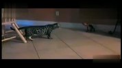 搞笑-20120506-搞笑美国滑稽录像2