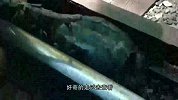 乌龟被卡在铁轨里，每天被火车压来压去，被救后已经不成龟样