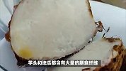 水晶芋头地瓜签粿，一种富有古早味的小吃，独特口感和香甜的味道