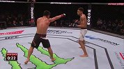 UFC-15年-UFC Fight Night 75副赛：轻量级约翰逊vs小谷直之-全场