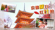 又是一年红叶季！今年我们去京都看红叶吧