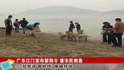 禁狗令专题-江门领导被狗咬了要全城灭狗