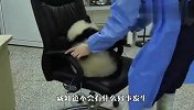 熊猫看到奶妈打扫卫生，又要过去“帮忙”，奶妈：幸好我早有准备