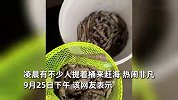台风过境后海滩现大片海鲜，市民凌晨赶海直接“爆桶”：捡不完