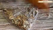 把小米倒进滚热的油锅中，立马变美食，吃一次就忘不了，真的解馋