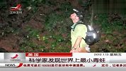 美国科学家发现世界上最小青蛙