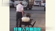 三轮满街跑，可这些奇葩三轮我是真看不懂