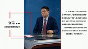 张平：东风浩荡 宏规大起