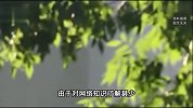 68岁孤寡老人将女主播视频当告白，彻底上头在村口苦等