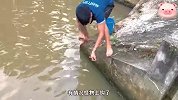 大叔河里发现巨物，小哥立马前来支援，最后成功收获几十斤大鱼