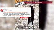 游客手机掉进熊园遭黑熊“啃食”，工作人员：饲养员已将手机取出