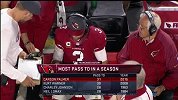 NFL-1516赛季-常规赛-第14周-亚利桑那红雀23:20明尼苏达维京人-全场
