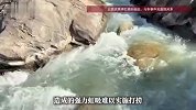虎跳峡落水男子遗体被发现，家属无奈同意放弃打捞，专业人员揭秘致命“水下虹吸”