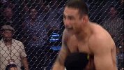 UFC-14年-UFC180自由格斗：温顿vs菲多-专题