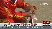 欢乐过大年 猴子来闹春