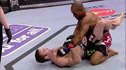 UFC-14年-UFC ON FOX12：冉冉升起的新星鲍比格林-专题