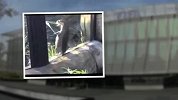 足球-15年-布拉特辞职：社交网络爆笑恶搞TOP10-新闻