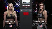 UFC格斗之夜154：安德里娅-李VS蒙塔娜