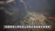 青岛一海域螃蟹扎堆，有人潜水一晚上捞回上百斤！市价每斤30元
