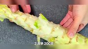 全职妈妈教你做午餐三菜一汤，营养又健康，让家人爱吃