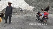 这是一条穿越天山南北的公路，堪称中国公路建设史上的一座丰碑