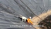 水库下传来凄厉叫声，男子上前查看后大呼不好，赶紧回去喊人