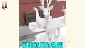 奇葩雪人大赏，你们这操作还真的是个人才
